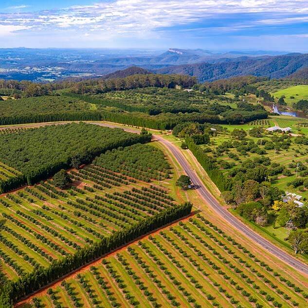 The Mid North Coast region as captured by Instagram users. 
