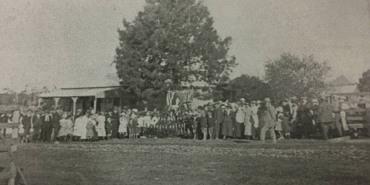 The tree planted in honour of Private Robert Laurie with the citizens of Laurieton. Taken on August 17, 1918. 