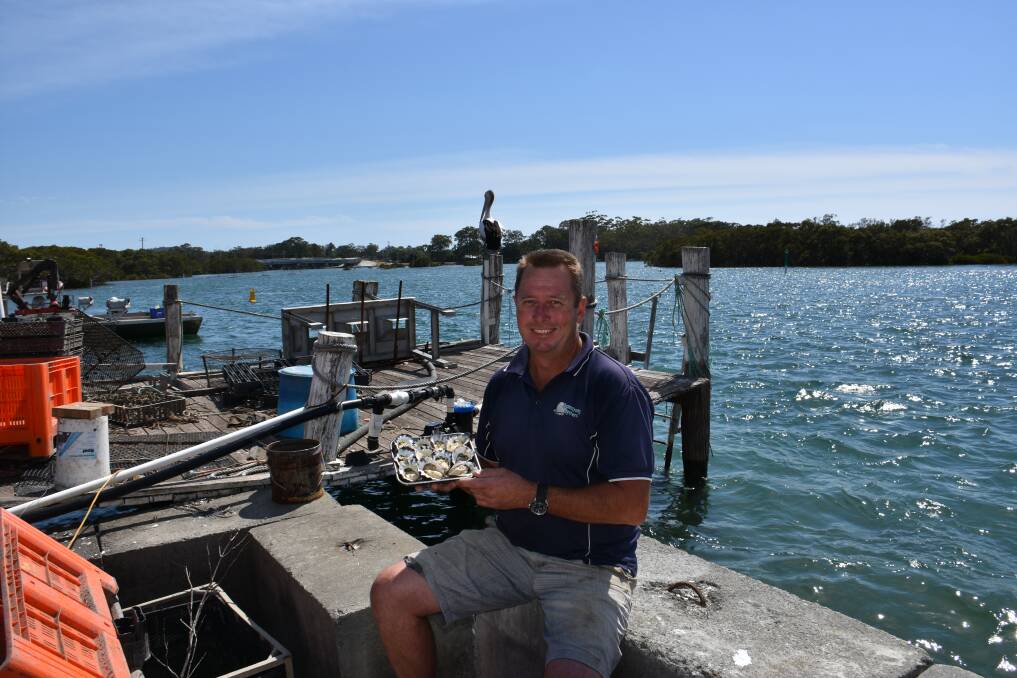 Positive news: Jason Armstrong from Armstrong Oysters said they are back in operation and will be able to sell their oysters over the busy Christmas holiday period.