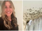 Port Macquarie resident Stacey Matthews (left) and example of mould (right). Photo: National Asthma Council. 