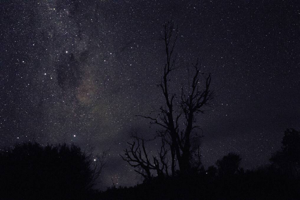 Rachel Evans took this photo of the Milky Way stars