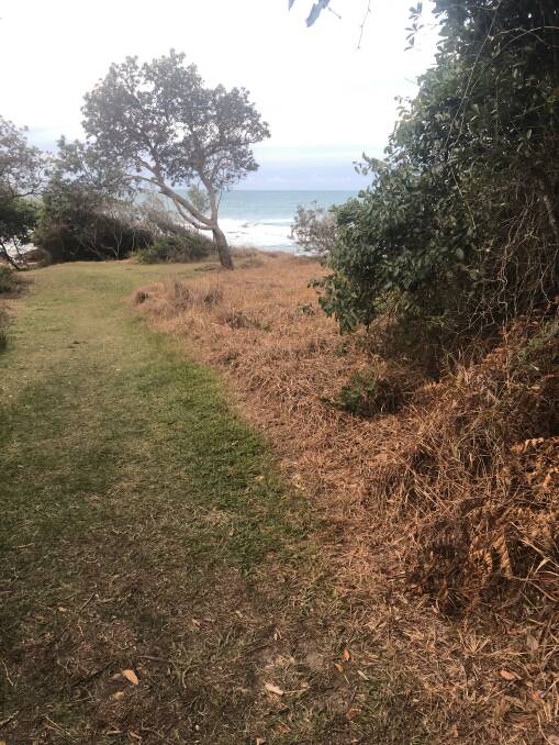 Phil Rowan took this photo to highlight his concerns about vegetation at Spooneys Bay, Bonny Hills. 