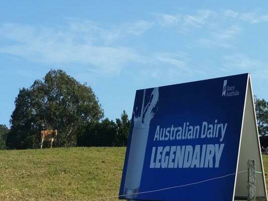 Community invited to Dairy Farm Picnic