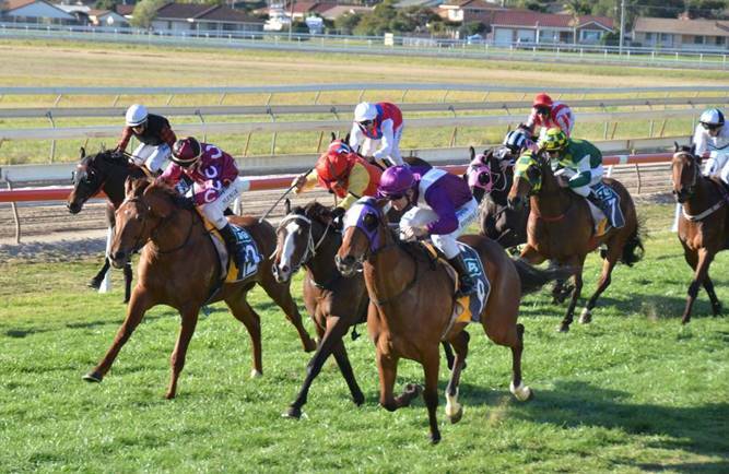 Spring start: Horses took to the field for the Camden Haven Cup on September 5, 2012.  The first race for 2017 kicks off at 1.31pm. The sixth and last race is at 4.31pm. 