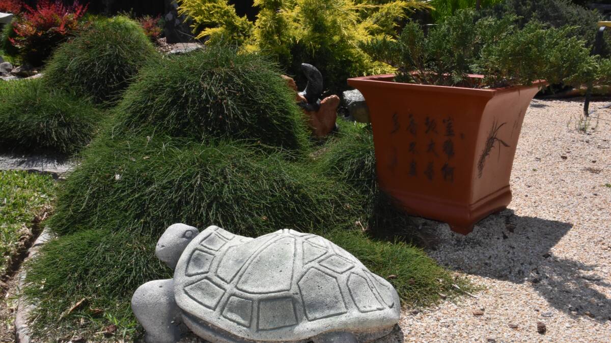 Lakewood garden showcases Japanese culture