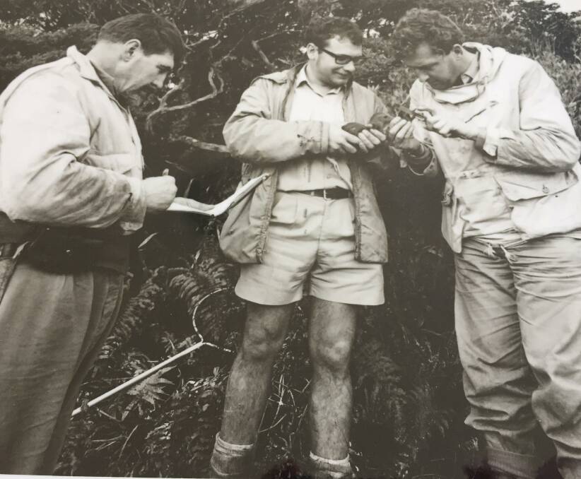 Mr Morris (pictured middle) with a Woodhen (Tricholimnas sylvestris) on Lord Howe Island. The Woodhen is a flightless bird which was once one of the rarest birds in the world. Photo: supplied. 