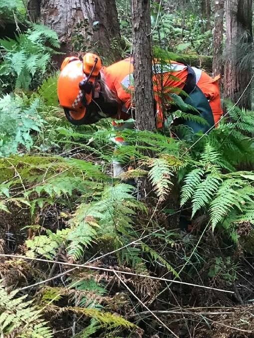 Assistance: Volunteer members from the Mid North Coast Region have assisted NSW Police over the past four weeks, 14 operational days and about 1100 hours in a forensic search at Kendall. Photo: NSW SES - Mid North Coast Region.