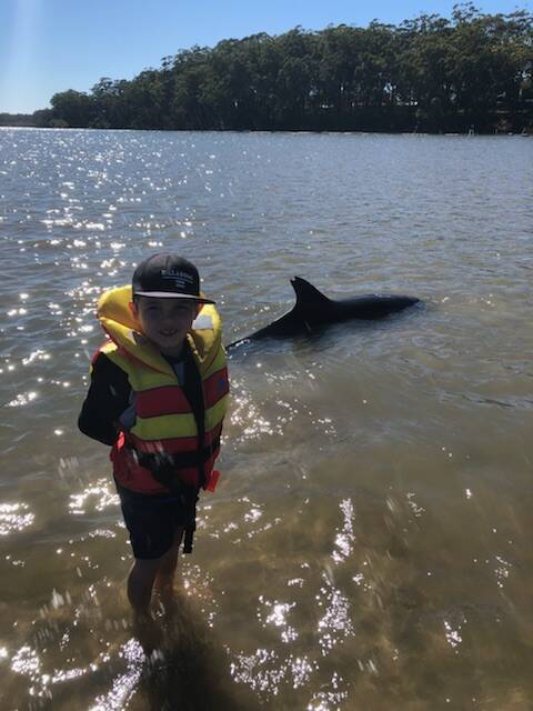 Stranded dolphin rescued at Queens Lake
