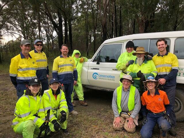 Hard working volunteers from Conservation Volunteers Australia (CVA). Photo: supplied. 