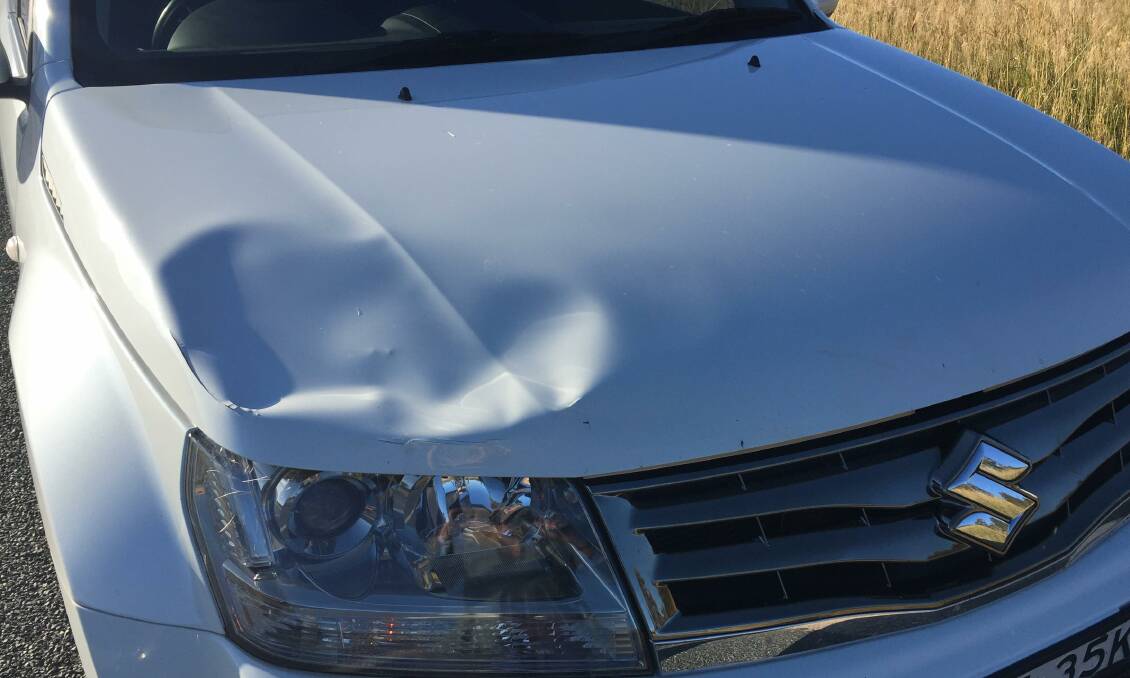 Head on deer collision: I was left shaken but unharmed from the incident on Thursday, June 20. Unfortunately my car has not recovered from the incident so well. 