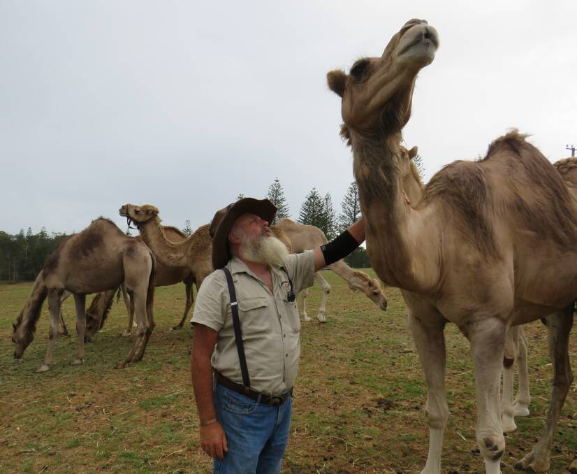 John Hardy said 2019 was a tough year for his camel riding business. 