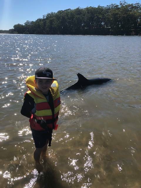 Stranded dolphin: Phillip English's grandson James pictured with the stranded dolphin (Grandma) recently at Queens Lake. Photo: supplied. 