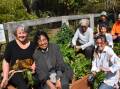 Kendall resident Tin Hta Nu (second from left) is involved in many community organisations including the Kendall Community Garden. Photo: Liz Langdale. 