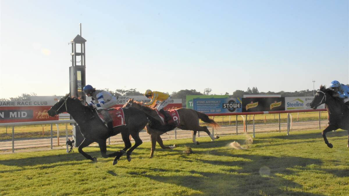 Victory: Belinda Hodder raced away on the Colt Prosser trained gelding, Metre Eater to win the 2019 Camden Haven Cup.
