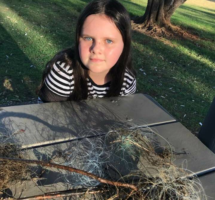 Eco-warrior: Eleven-year-old Shalise Leesfield has secured two Seal the Loop fishing line collection bins in a bid to save marine life from entanglement.
