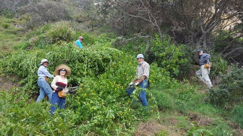 The National Parks and Wildlife Service (NPWS) and dedicated local volunteer groups have been awarded a $129,333 grant to continue habitat regeneration work in the Dunbogan-Crowdy Bay National Park habitat corridor.