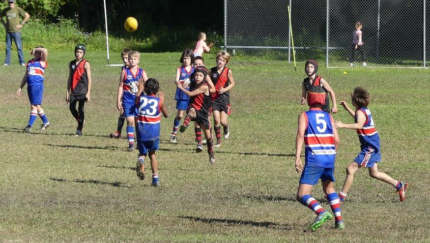 Camden Haven Bombers made a triumphant return to the AFL North Coast Junior Competition after a 12 month hiatus with a strong win over the South West Rocks Dockers.