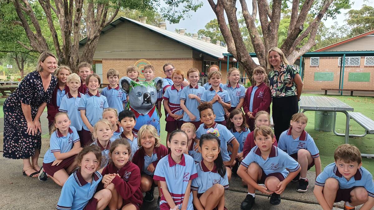 Sculpture trail's newest koala finds Happy Haven on school grounds