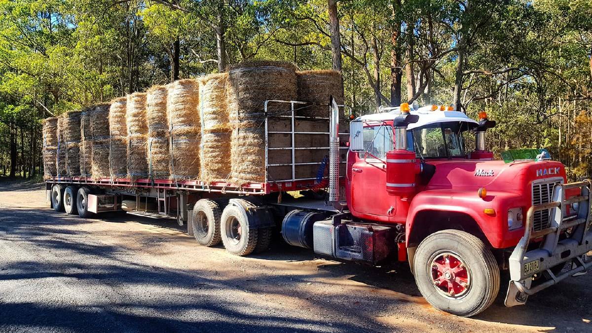 HAY RUN: Bales from the Norco Rural Store in Wauchope heading west to drought-stricken farmers.
