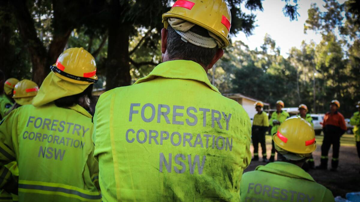 Forestry crew fine-tune fire skills