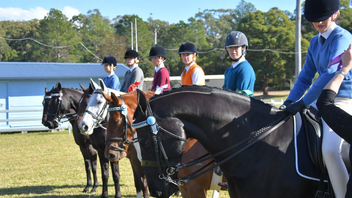RIDERS READY: High and Mighty Showjumping Championships hosted by Camden Haven Pony Club this weekend.