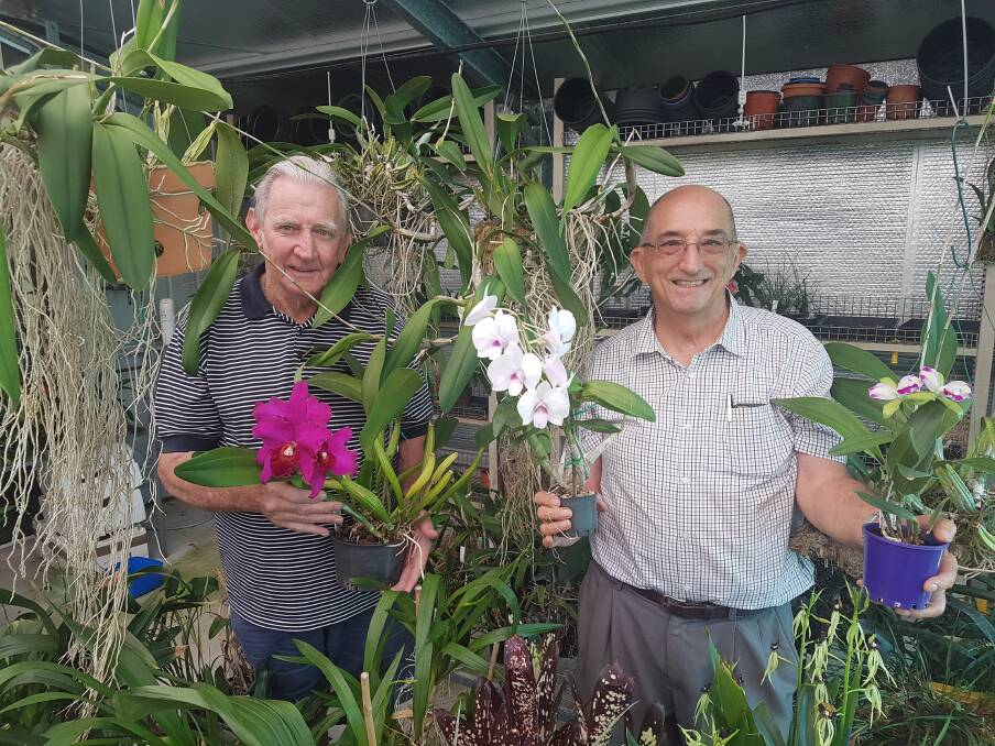 Orchid society: Vice president Dennis Sinclair and president Andrew Young.