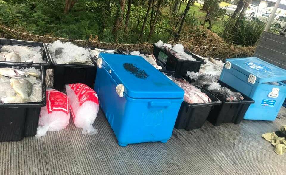 BIG HAUL: More than 748 fish were donated to the fish auction. Photo: Donna Cabban.