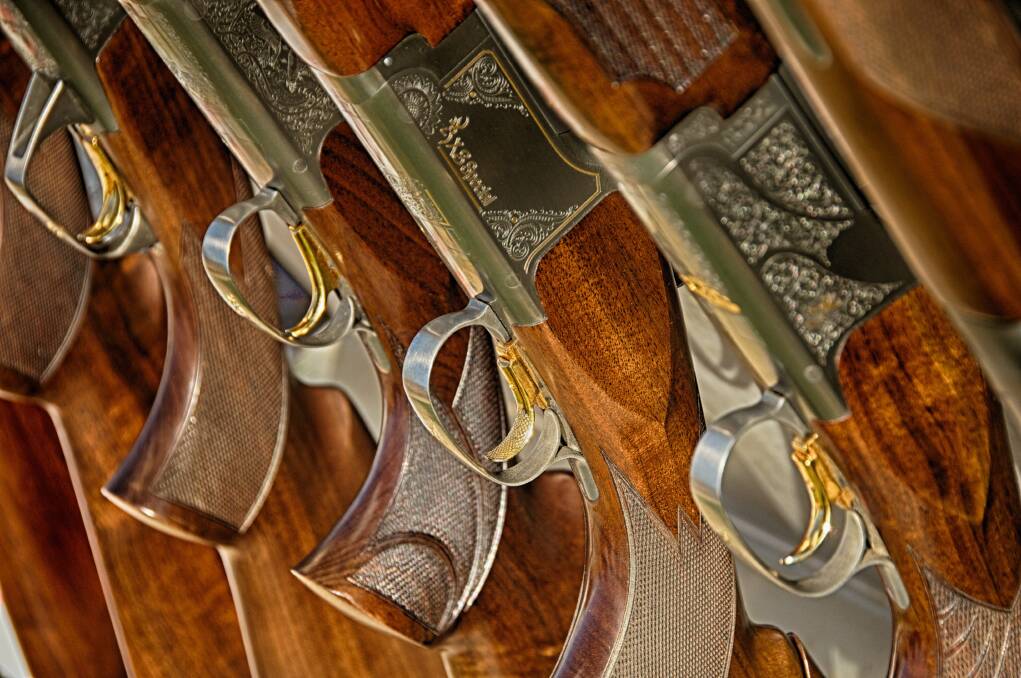 Operation Armour: Firearms in a row. Photo: Stock.