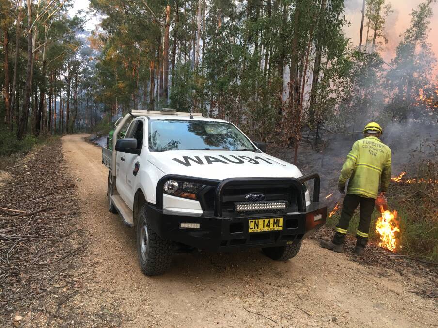 Forestry Corporation of NSW continues with hazard reduction burns on the Mid North coast. Photo: Shane Dickinson