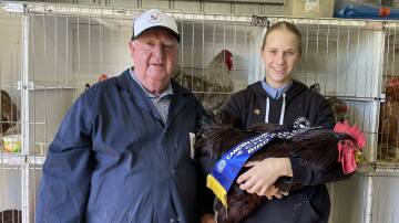 Poultry judge Barry Tisdell congratulates exhibitor Molly Handsaker on winning the champion bird of the show with a Rhode Island Red. Picture by Lisa Tisdell