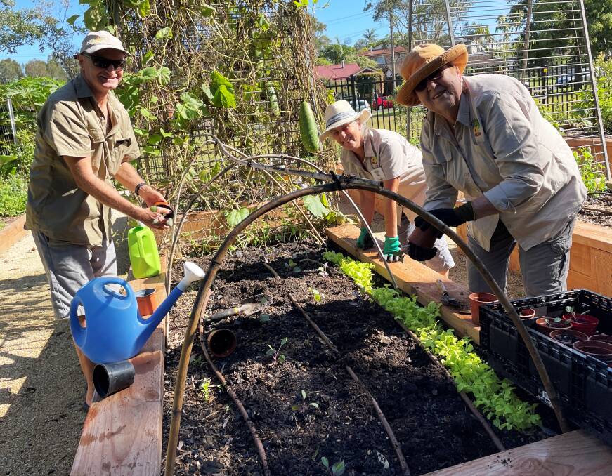 Cathie Hub gardeners Tony Lobban, Jenny Lester and Helen Smith plant some seedlings in the community garden.