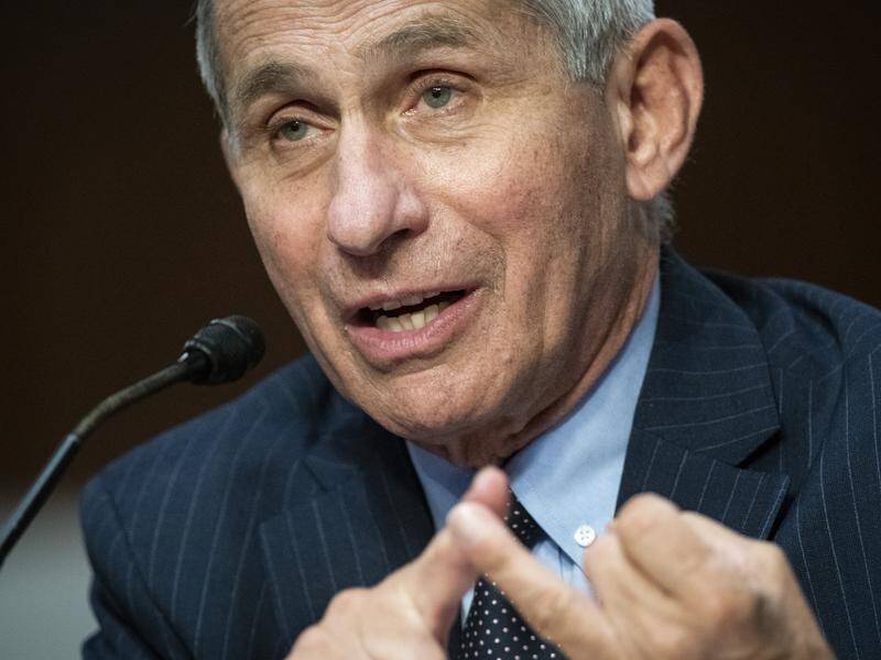 US infectious diseases expert Anthony Fauci says the virus situation in the US is "really not good".