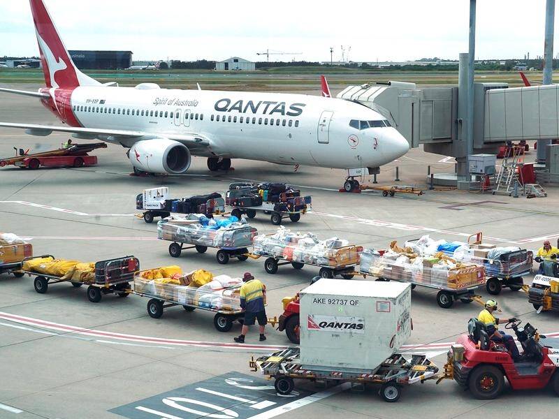 A Transport official says Australia's aviation sector is 'in real strife' amid travel uncertainty.