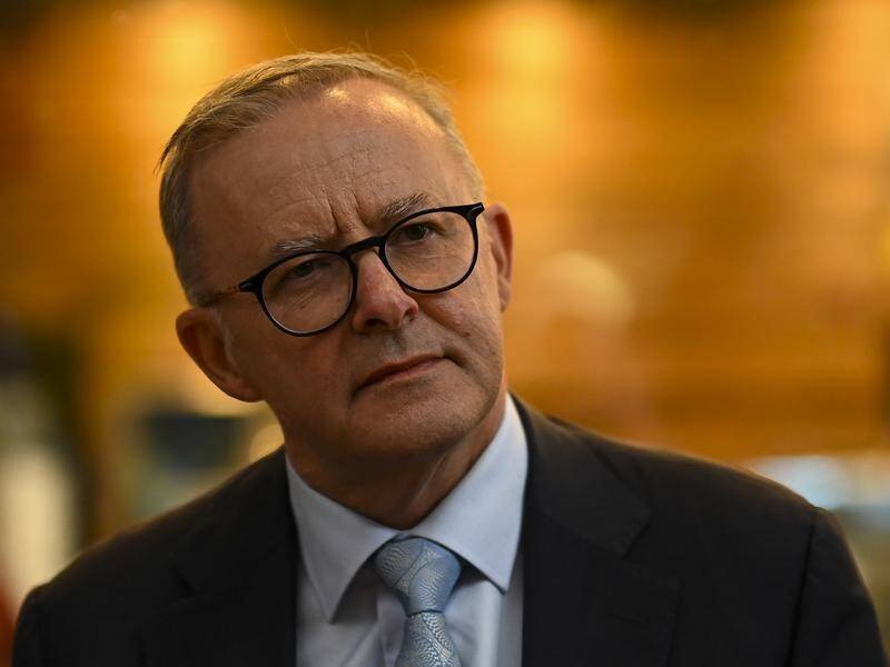 Labor leader Anthony Albanese has made a return to the campaign trail.