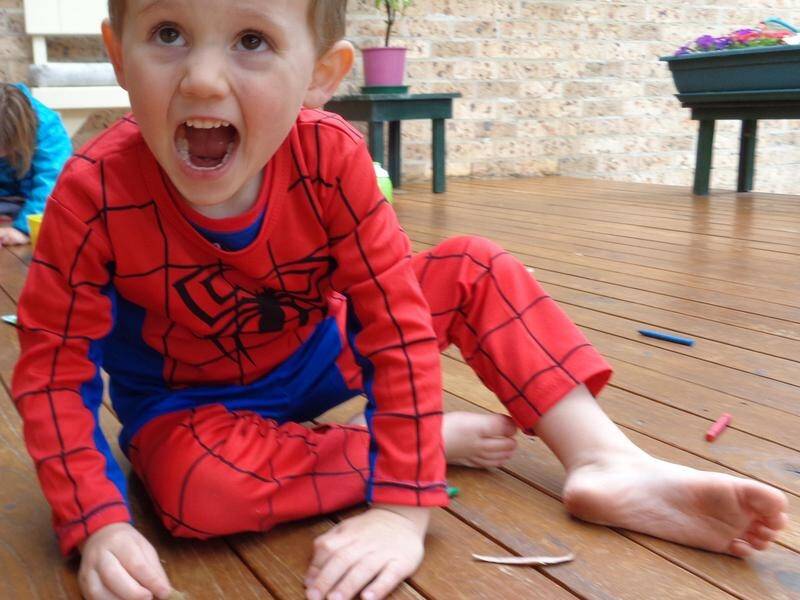 William Tyrrell was three when he vanished from the garden of his foster grandmother's home in Kendall, NSW.