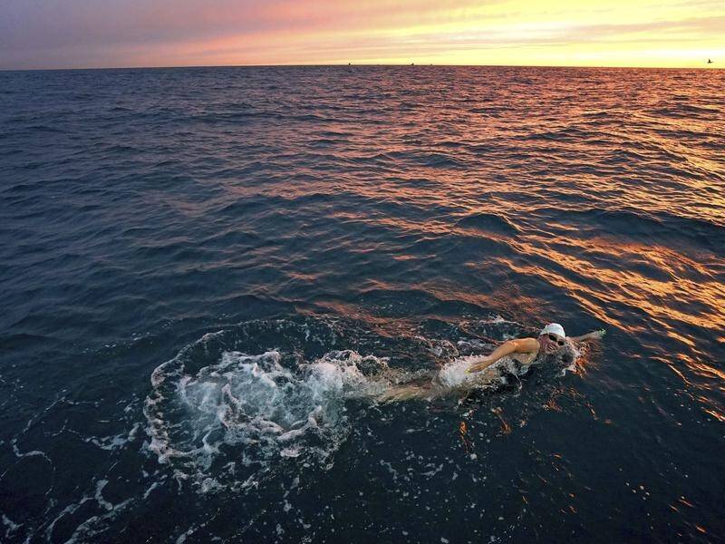 Chloe McCardel ploughs through the English Channel on her record-equalling marathon swim.
