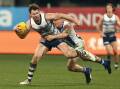 Patrick Dangerfield (l) was in form for the Cats against Norths on his return from a calf injury.