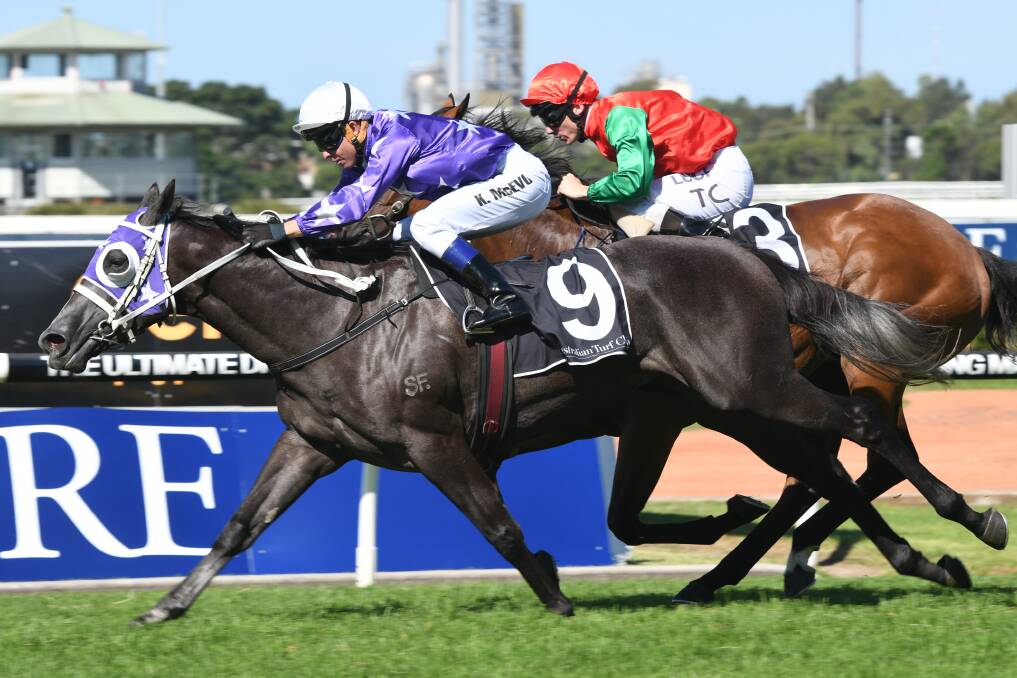 Foxplay scored a win in the recent Phar Lap Stakes. PHOTO: Steve Hart Photographics, 