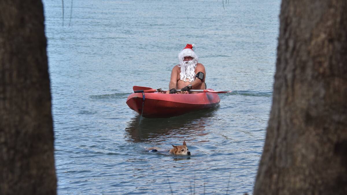 Reindeer or dog?: Spike jumps into the water and tows Santa to shore. Photo: Matt Attard