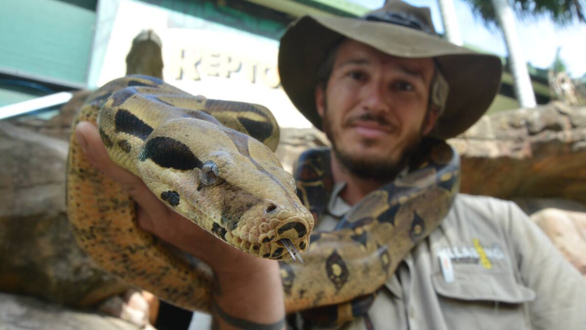 Friend not foe: Stuart Johnson with a harmless carpet python - a popular choice for a pet.