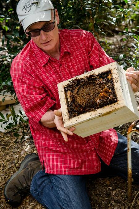 Dr Tim Heard with a stingless bee hive.