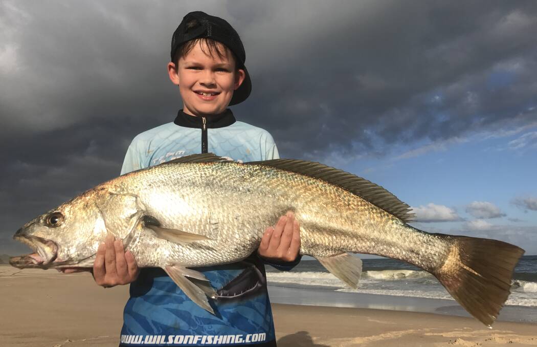 Big catch: Nine year old Harrison Saunders has been having a ball catching mulloway off Lighthouse Beach, landing this 98 centimetre fish on a whole squid.